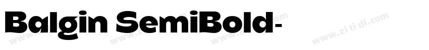 Balgin SemiBold字体转换
